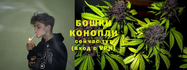 молекула духа Каменногорск