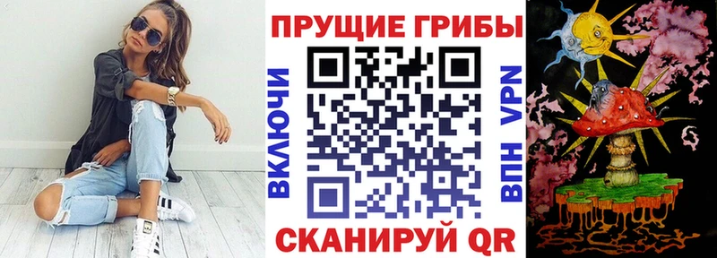 Псилоцибиновые грибы GOLDEN TEACHER  KRAKEN рабочий сайт  Рубцовск 